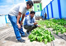 La Libertad: Promueven biohuertos escolares en Rázuri