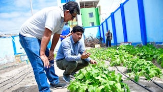 La Libertad: Promueven biohuertos escolares en Rázuri