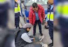 Motociclista resulta herido tras choque con automóvil en Arequipa