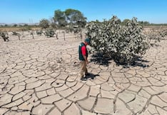 Impulsan parcelas agrícolas en Ocucaje para apoyar a productores afectados por el desborde del río Ica
