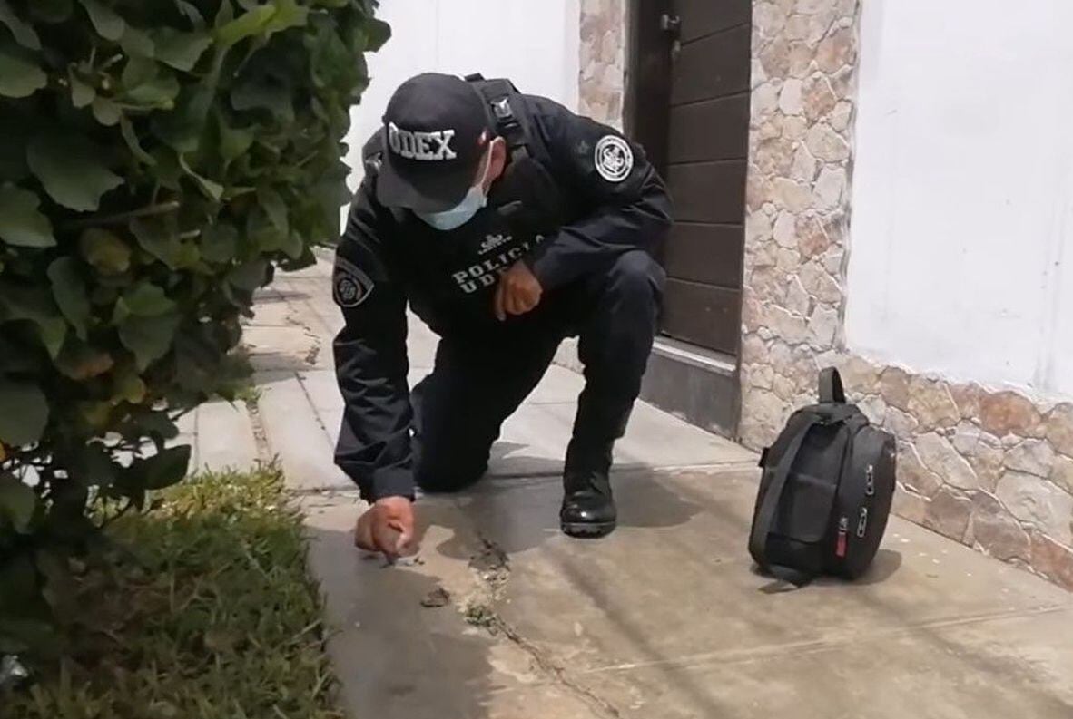 Hecho sucedió en el asentamiento Quince de Marzo