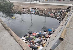 Chincha: malos vecinos vuelven a arrojar residuos sólidos a la acequia Ñoco