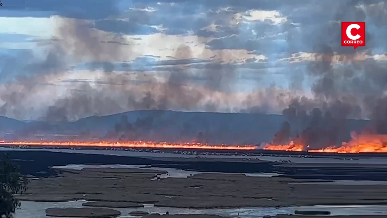 Puno: Incendio forestal arrasa totorales cerca de las islas de los Uros