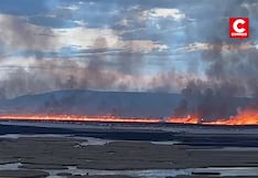 Puno: Incendio forestal arrasa totorales cerca de las islas de los Uros