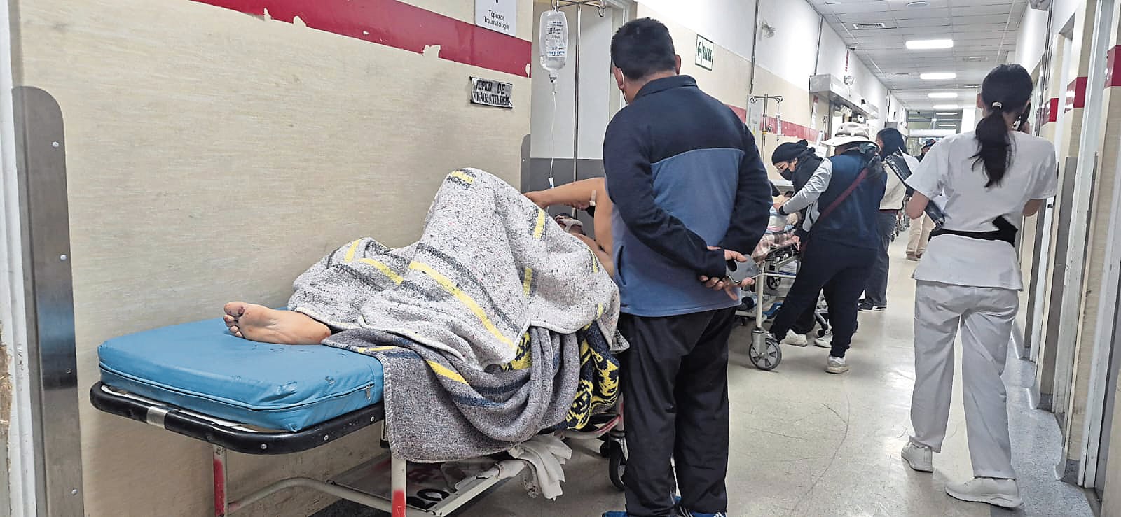Mordeduras de arañas aumentan en Arequipa
