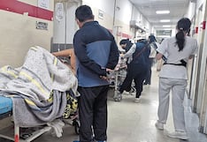 Aumentan las atenciones por mordedura de arañas en hospitales de Arequipa