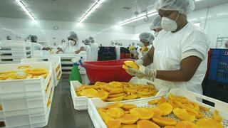 Exportaciones de mangos crecieron 25.7%