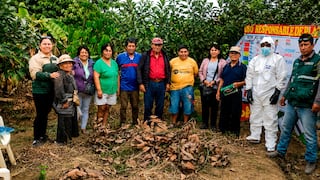 Trujillo: Promueven el cultivo de palto orgánico en Laredo