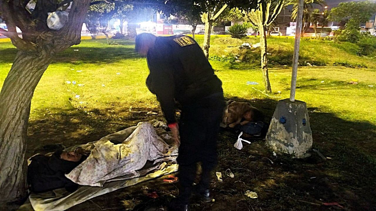 Personal de seguridad ciudadana los sorprendió durmiendo en las áreas verdes.