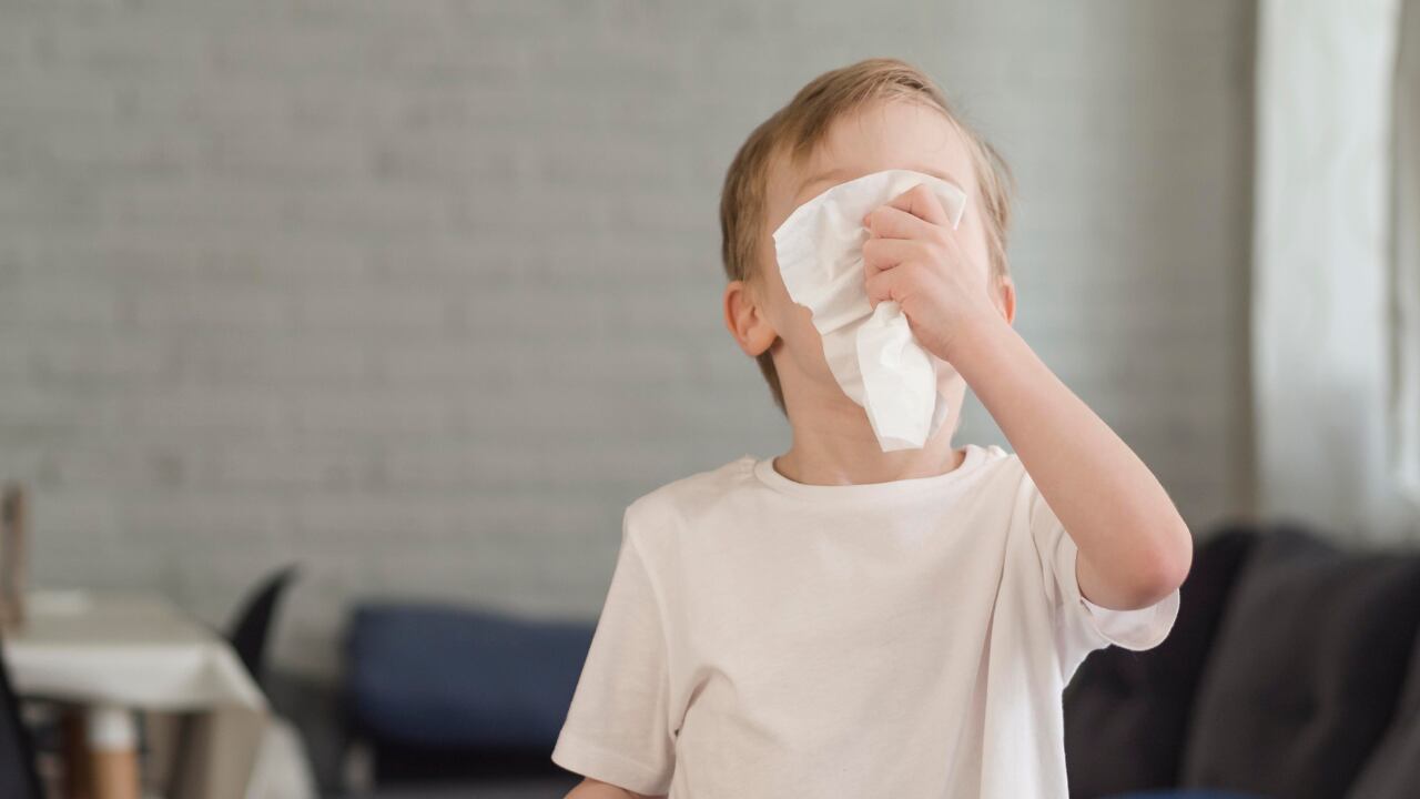 El aumento de las alergias en las últimas décadas es notable, según la Organización Mundial de Alergia (WAO), el 20 a 25% de la población mundial sufre de alguna enfermedad alérgica, especialmente en niños, y se estima que, para el año 2050, la mitad de la población sufrirá de alergia.