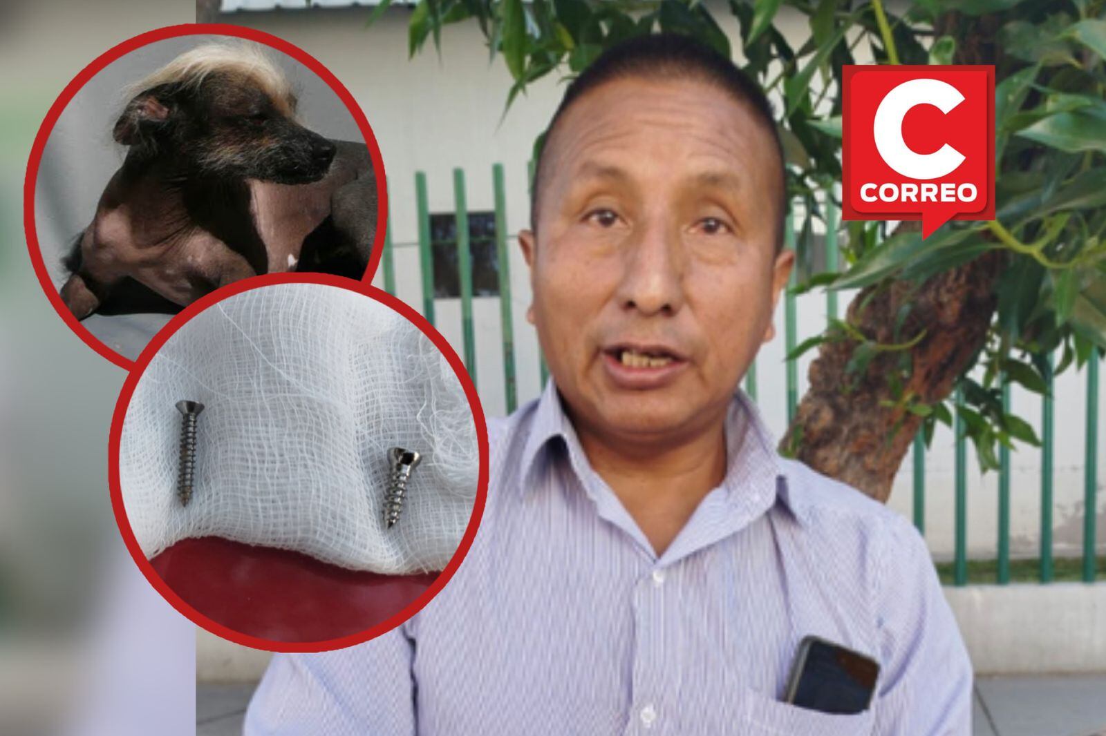 Dueños de la mascota afectada pide que veterinaria asuma responsabilidad. (Foto: GEC)