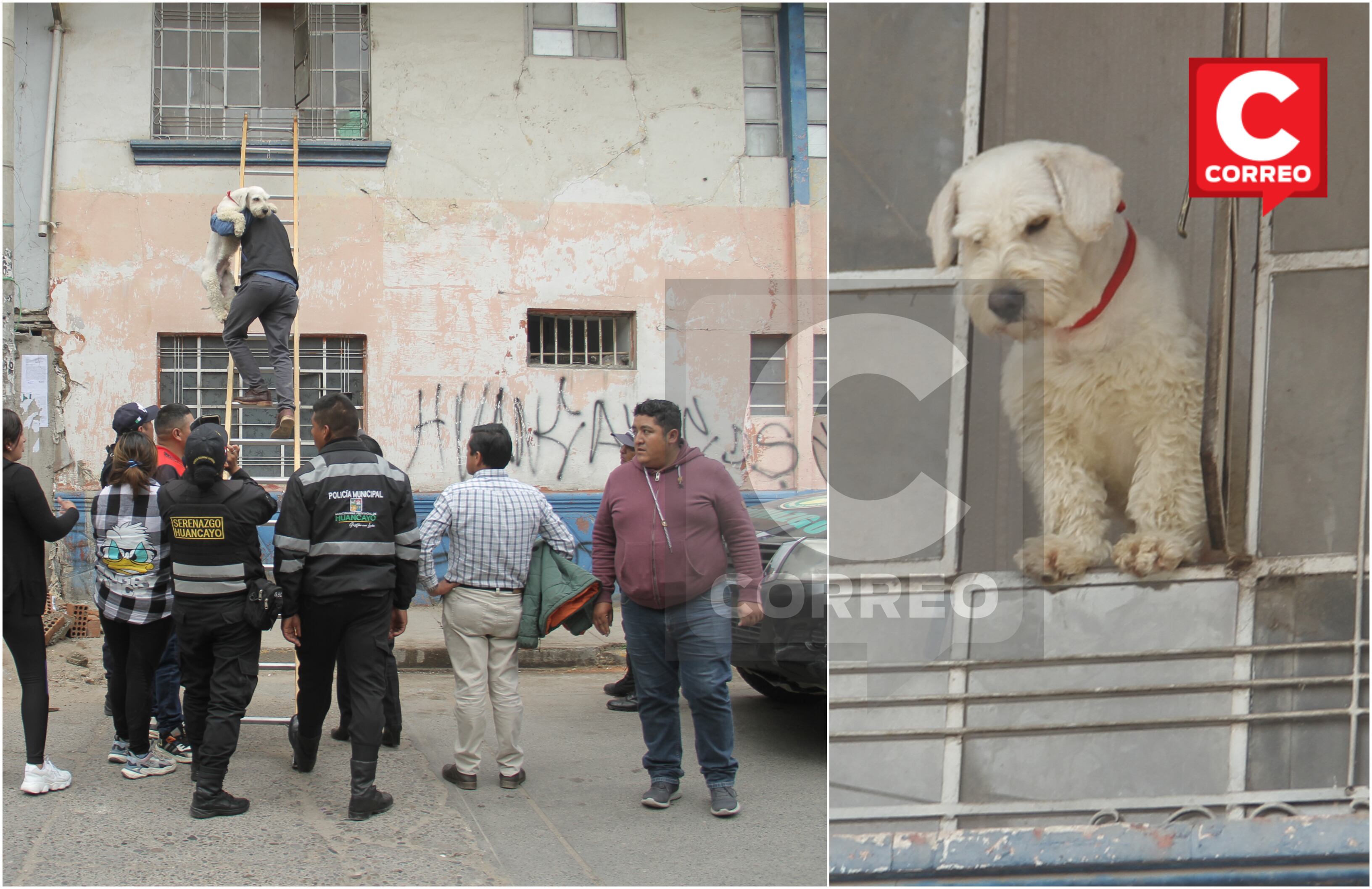 Fotos: Adrián Zorrilla