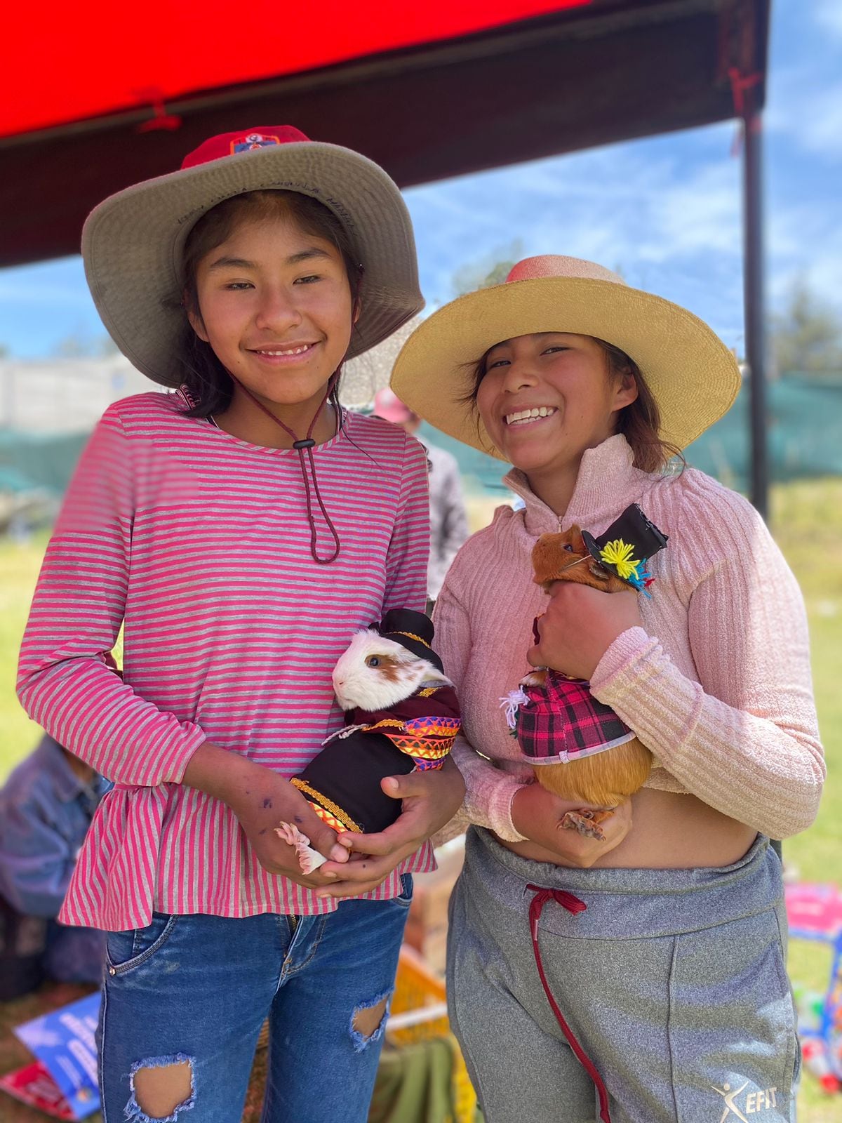 Primer Concurso de Cuy Fashion 2025 en Quequeña, Arequipa. Foto: Municipalidad de Quequeña.