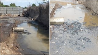 Ica: colapso de desagüe afecta a familias en Cantoral y genera temor por enfermedades