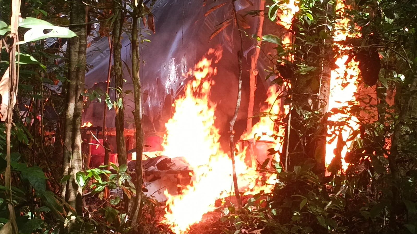 Nuevo golpe al narcotráfico