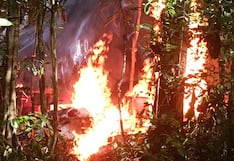 Incautan 100 kilos de droga y destruye insumos químicos en operación fronteriza en Huánuco