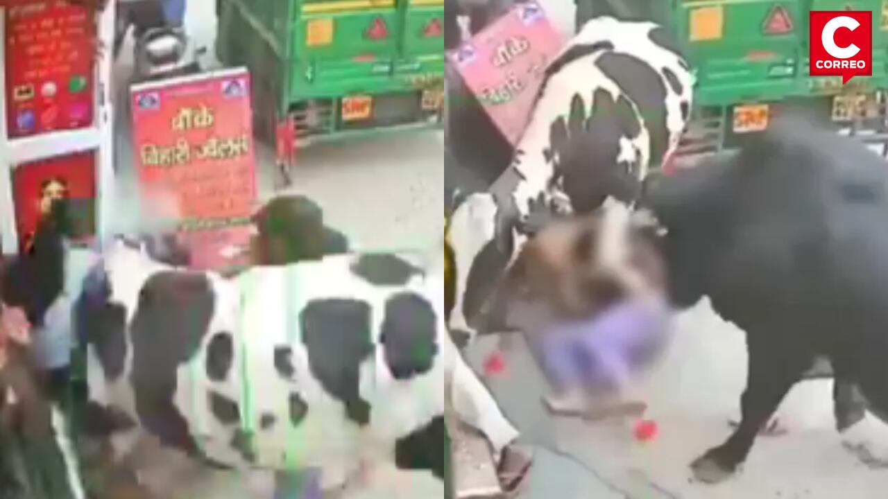 Vacas embistieron a jóvenes en redes sociales.