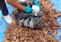 Pangoa: PNP decomisa más de 11 kilos de cocaína ocultos entre sacos de kion