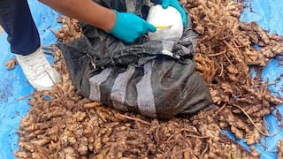 Pangoa: PNP decomisa más de 11 kilos de cocaína ocultos entre sacos de kion