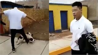 Maltrato animal: joven patea y lanza por los aires a un cachorro en Huacho (VIDEO)