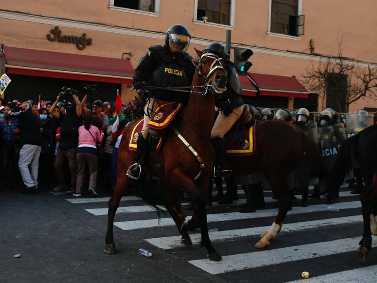 Caballos de la Policía. (Foto: GEC)
