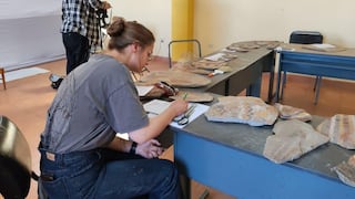 Arqueólogos de Polonia investigan arte rupestre en Condesuyos, Arequipa