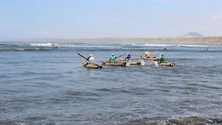 Realizan concurso de pesca en caballito de totora (VIDEO)