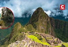 Machu Picchu: Mincetur propone nueva ruta de acceso desde Pachar para reducir tráfico vehicular