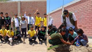Ica: Dirección Regional Agraria realizó con éxito la campaña de forestación Andes Verde en colegios