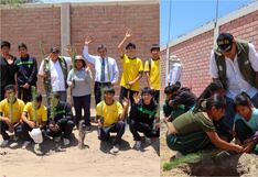 Ica: Dirección Regional Agraria realizó con éxito la campaña de forestación Andes Verde en colegios