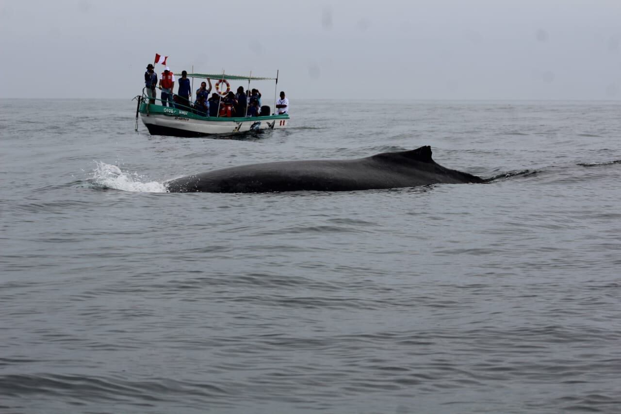 Hoy se hizo el lanzamiento oficial de dicho evento en el balneario canoense con la participación de autoridades