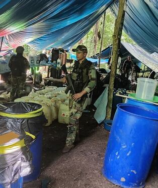 Duro golpe al hampa en El Huallaga