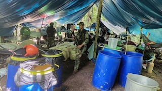 DIVMCTID Huallaga incauta cerca de 95 kilos de droga en operativo en Yuyapichis