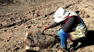 Hallazgo arqueológico: Descubren 1,058 petroglifos y 12 entierros en Miculla, Tacna