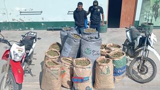 Lambayeque: Capturan a cabecilla de “Los Netos del Norte” con 120 kilos de marihuana