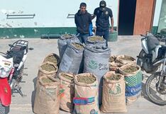 Lambayeque: Capturan a cabecilla de “Los Netos del Norte” con 120 kilos de marihuana