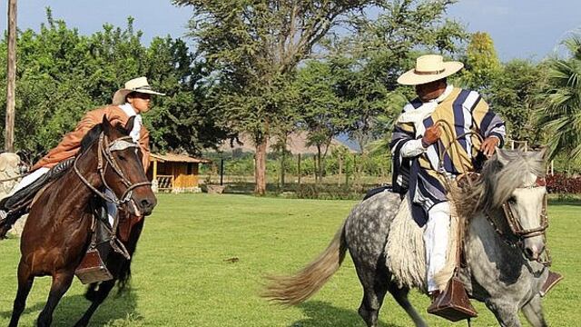 ​Hoy se celebra el "Día del Caballo Peruano de Paso"
