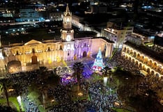 Conoce los árboles de Navidad para pasear en Arequipa (FOTOS)