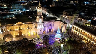 Conoce los árboles de Navidad para pasear en Arequipa (FOTOS)