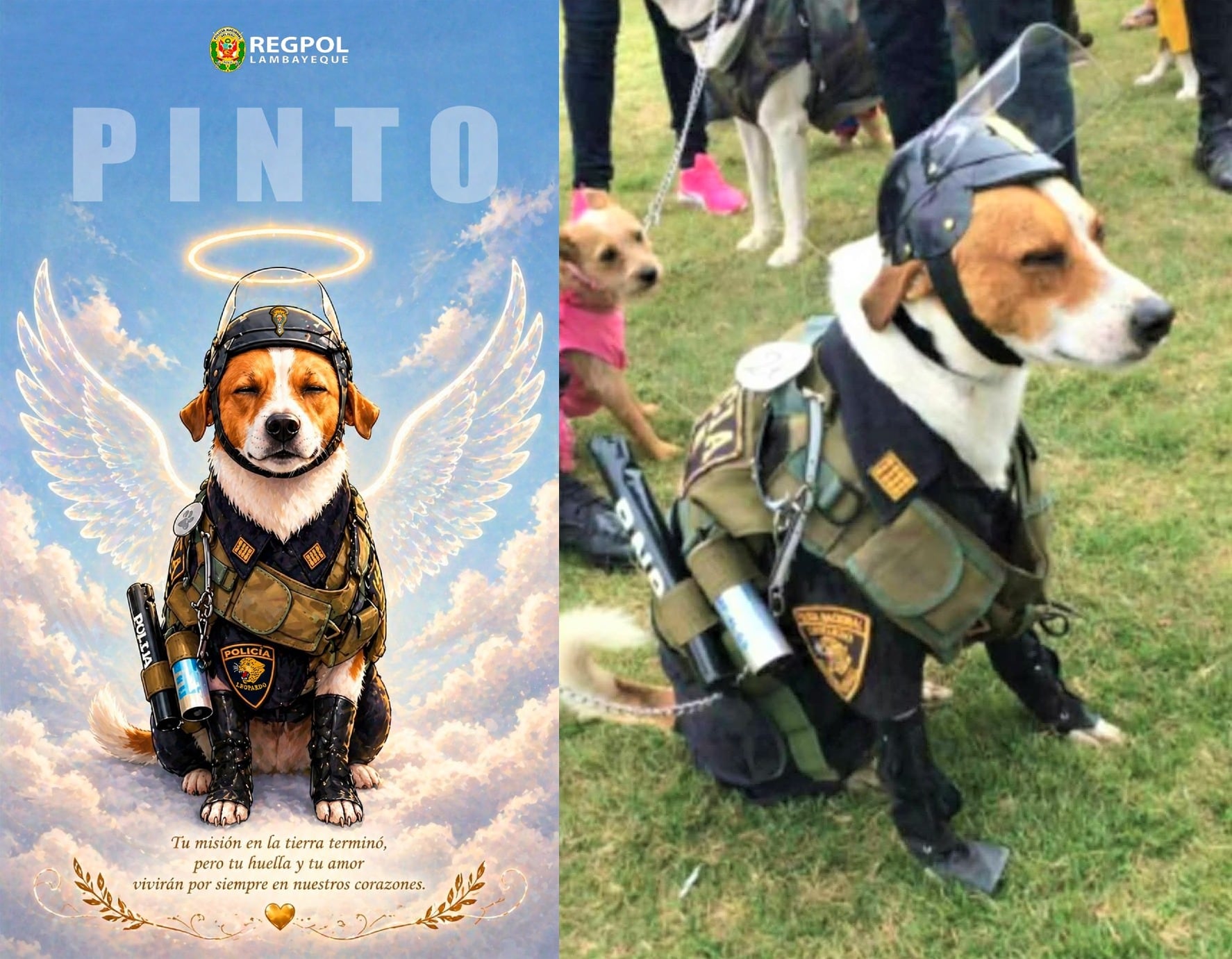 Región Policial de Lambayeque despidió a can.