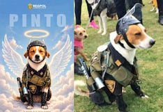 Chiclayo despide a “Pinto”, el can policial que acompañó por más de 10 años a la USE