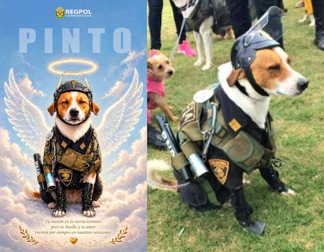 Chiclayo despide a “Pinto”, el can policial que acompañó por más de 10 años a la USE