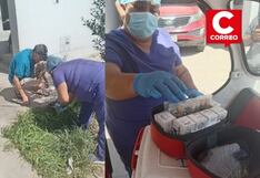 Ica: Dirección Regional de Salud monitorea calidad del agua en la región