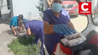 Ica: Dirección Regional de Salud monitorea calidad del agua en la región