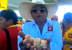Arequipa: Inician proceso sancionador a candidatos por entregar pollos en Majes
