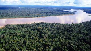 Brasil hará un inventario de árboles en el Amazonas