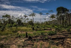 IIMP: Perú perdería su grado de inversión por persistencia de las economía ilegales