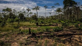 IIMP: Perú perdería su grado de inversión por persistencia de las economía ilegales