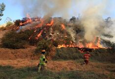 Capacidad de bomberos en Junín colapsa por incendios forestales