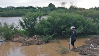 Tumbes: Policías rescatan a perro tras quedar atrapado en el río